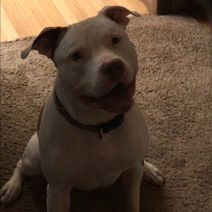 Meet your Posher, Jason